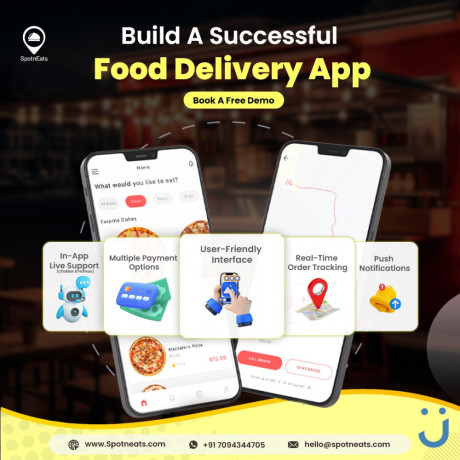 building-a-foodpanda-like-app-for-food-delivery-business-big-0