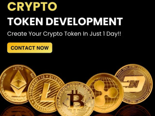 Elevate Your Crypto Journey with Custom Crypto Token Development Solutions